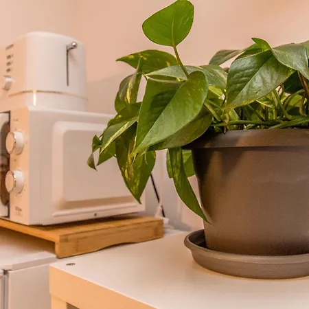 Apartment Sanva Puerto del Carmen (Lanzarote)